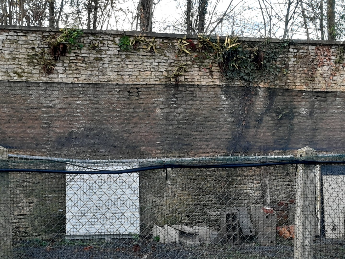 Vente et pose de filets anti fugues d'animauxANF14 dans le Calvados, Caen, Bayeux, Villers-Bocage, Falaise