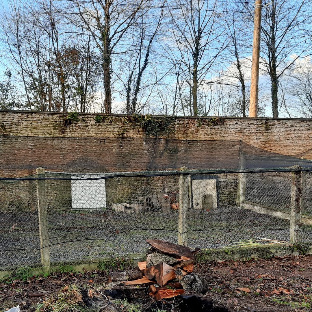 Vente et pose de filets Anti-oiseaux par ANF14 dans le Calvados, Caen, Bayeux, Villers-Bocage, Falaise